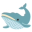 :whale2: